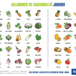 Janvier : Calendrier Fruits Legumes Saison