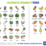 Février Calendrier Fruits Legumes Saison