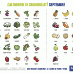 Septembre : Calendrier Fruits Legumes Saison