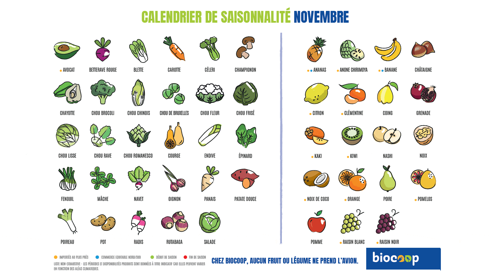 Novembre : Calendrier Fruits Legumes Saison