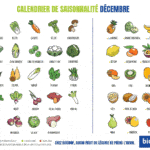 Décembre : Calendrier Fruits Legumes Saison